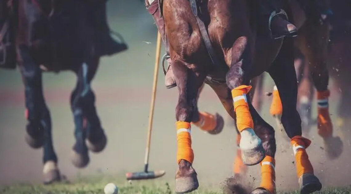 Crypto Polo Cup Set To Debut In Dubai, Uniting World-Class Polo Players And Web3 Enthusiasts