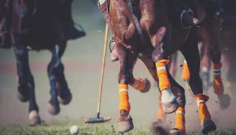 Crypto Polo Cup Set To Debut In Dubai, Uniting World-Class Polo Players And Web3 Enthusiasts